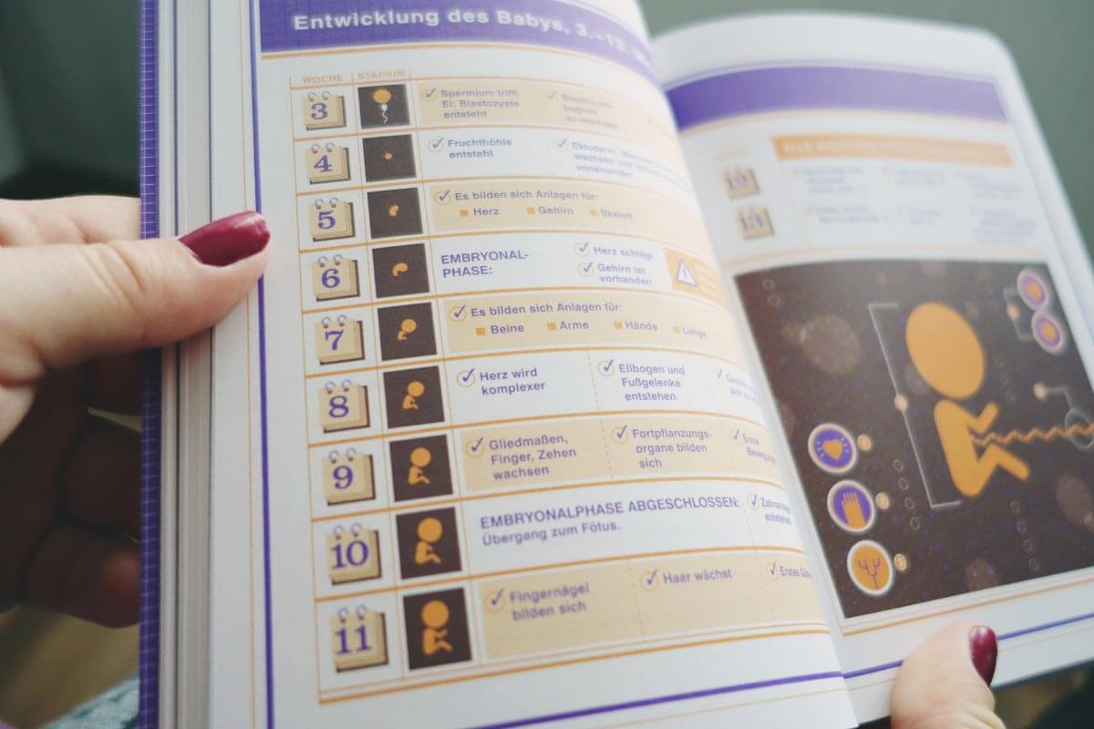 Buchtipp Schwangerschaft Betriebsanleitung Bild 2