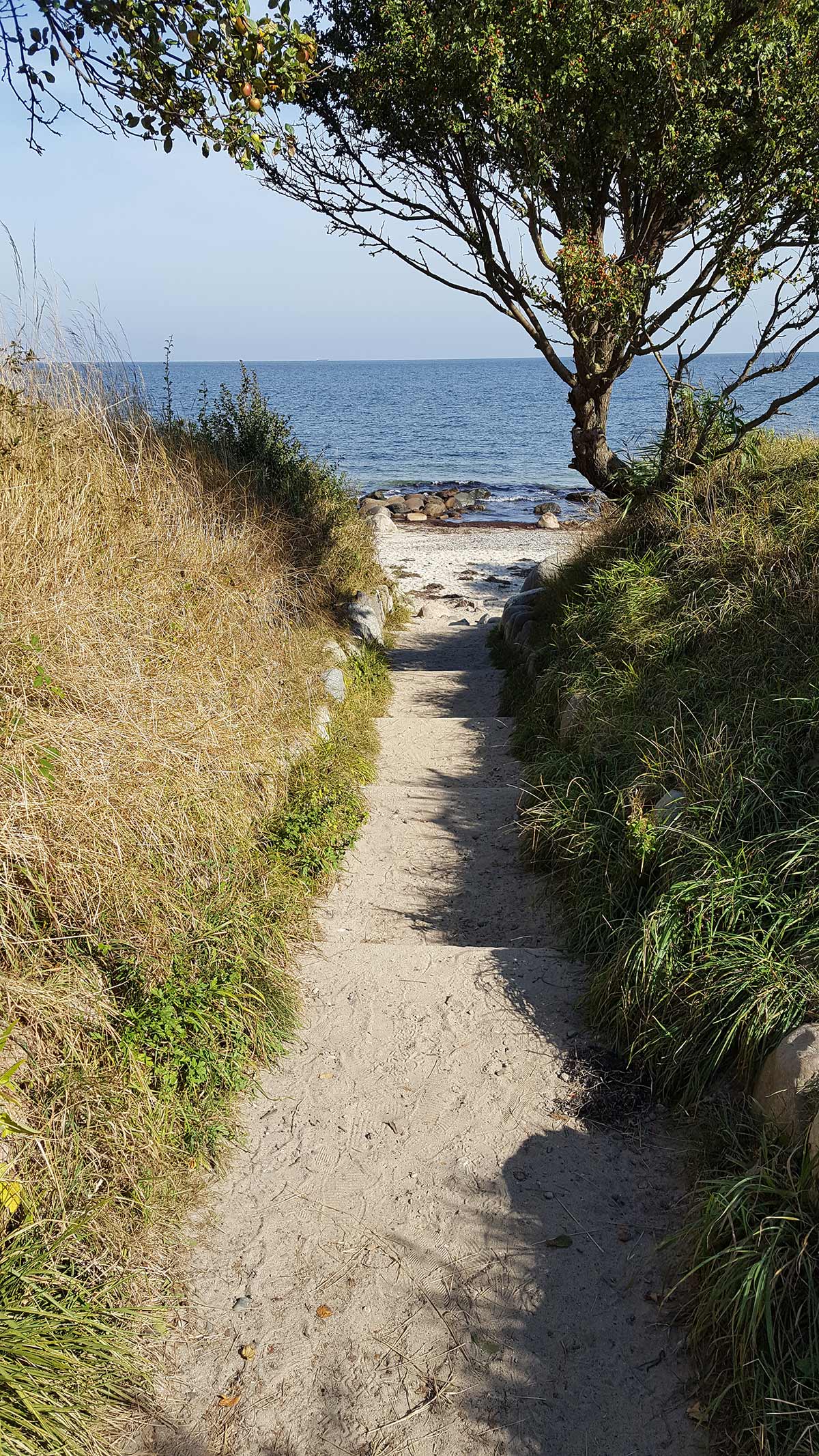 Weg zum Naturstrand auf Fehmarn