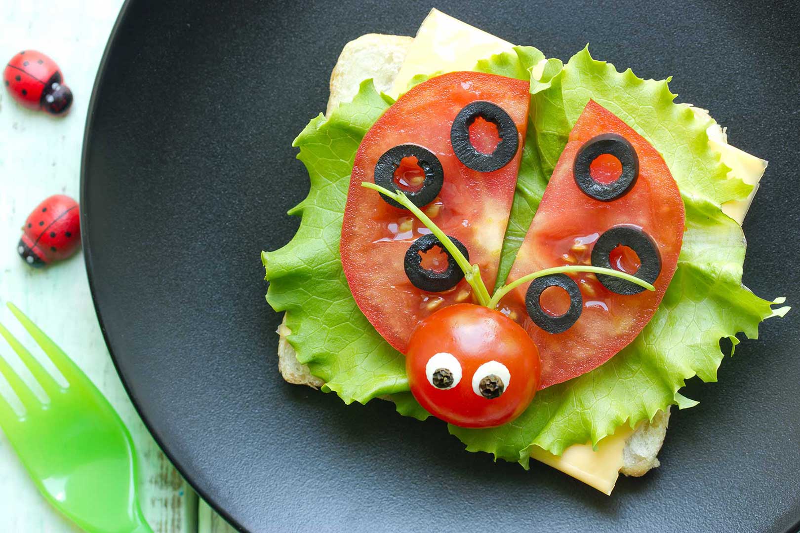 Tomatenmarienkäfer mit Olivenpunkten