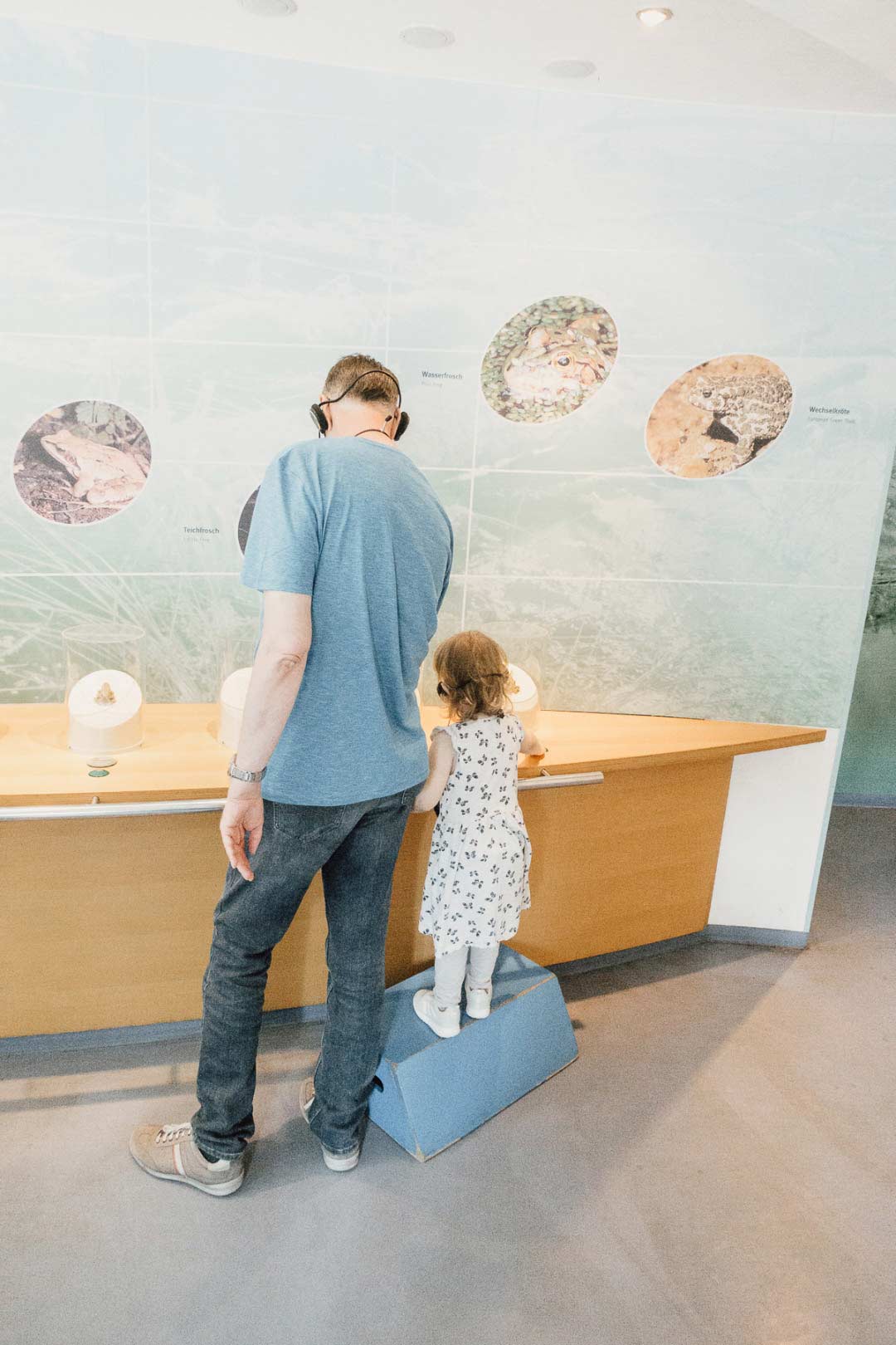 Ausstellung im Nationalpark-Zentrum Königsstuhl