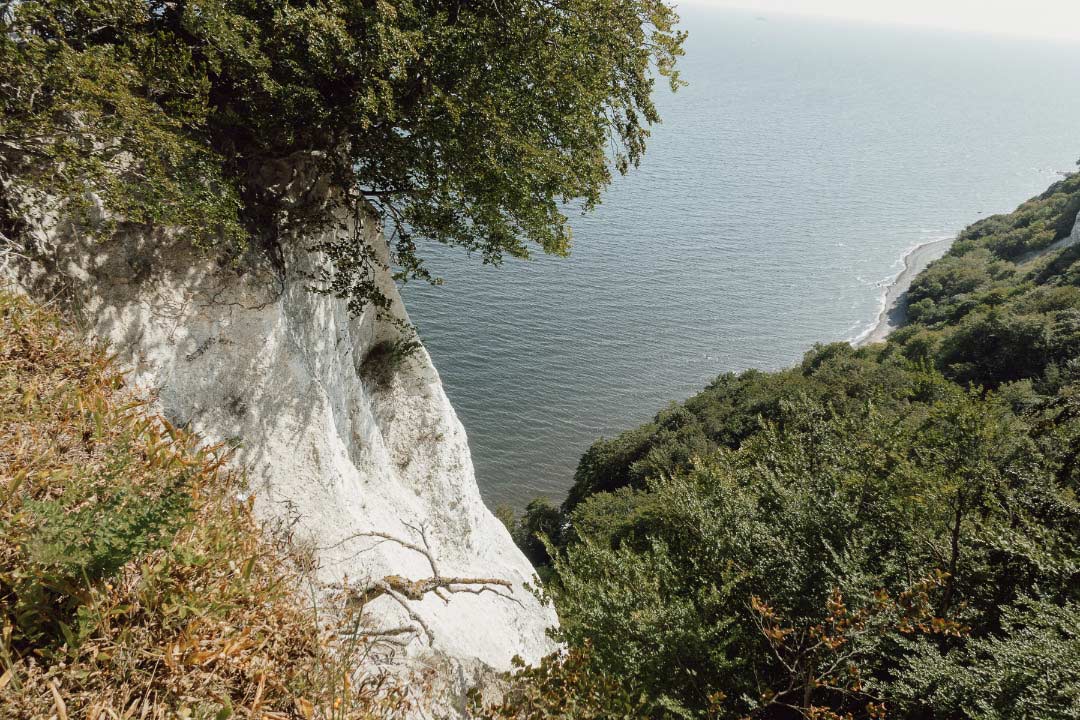 Kreidefelsen Königsstuhl auf Rügen