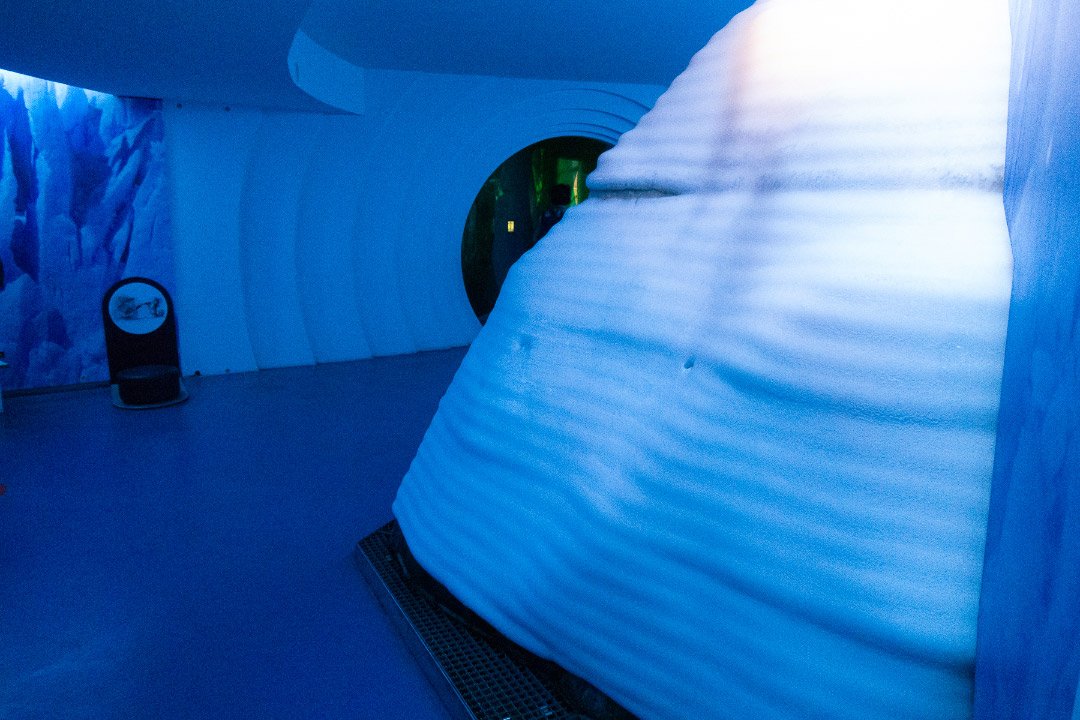 Ausstellung im Nationalpark-Zentrum Königsstuhl