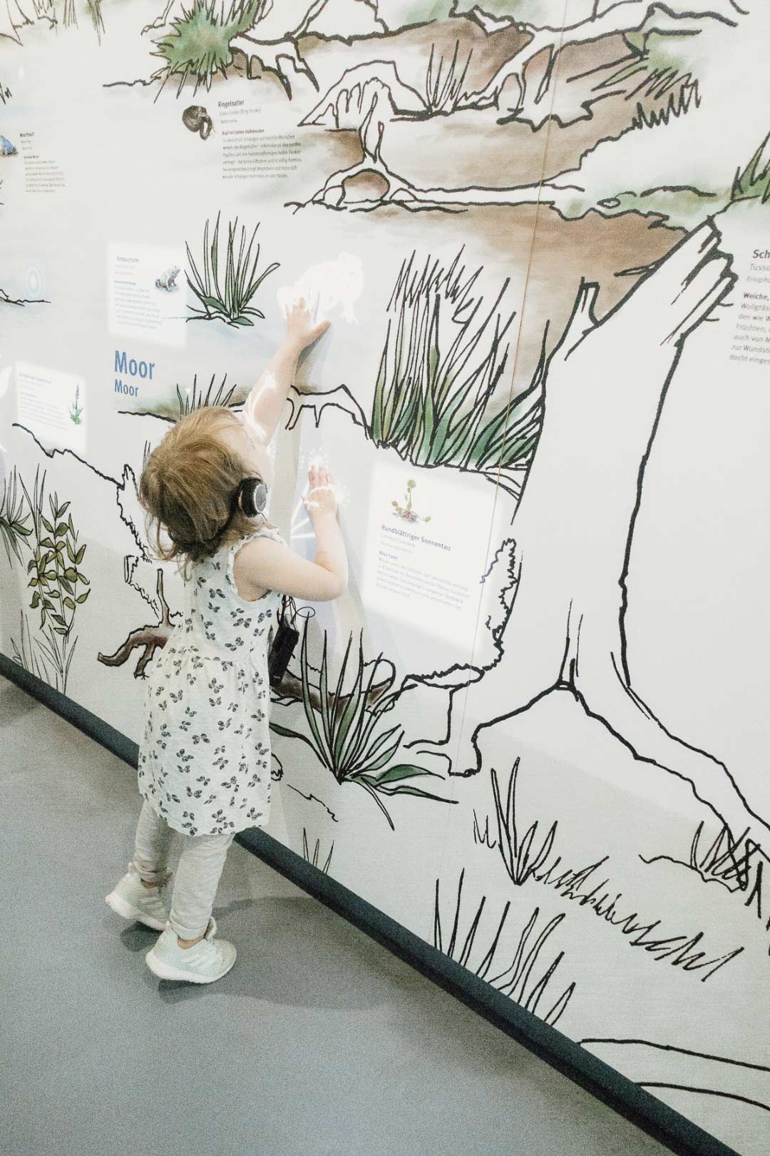 Ausstellung im Nationalpark-Zentrum Königsstuhl